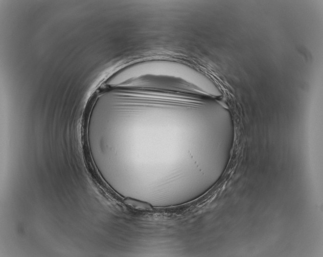 X0000111200244200907291235