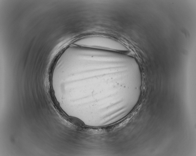 X0000111200245200907291236