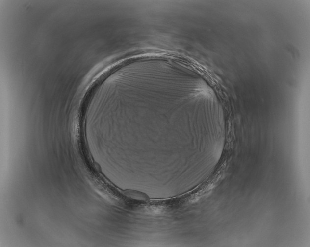 X0000111200247200907291236