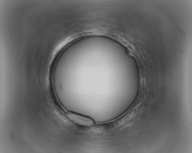 X0000111200248200907291236