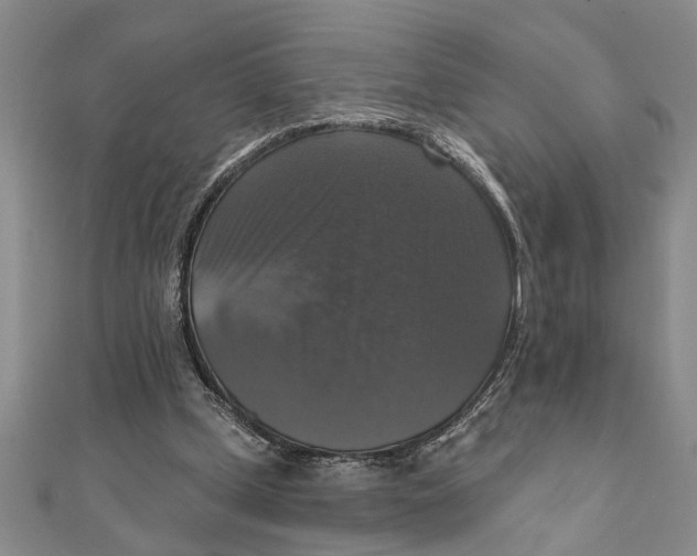 X0000111200249200907291236