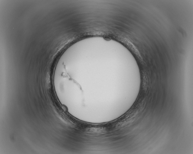 X0000111200251200907291236