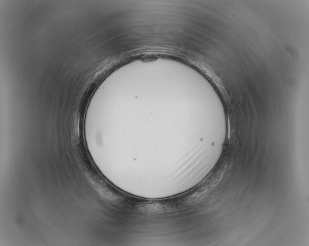 X0000111200253200907291236