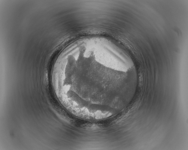 X0000111200254200907291236