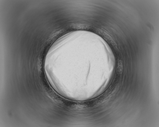 X0000111200255200907291236