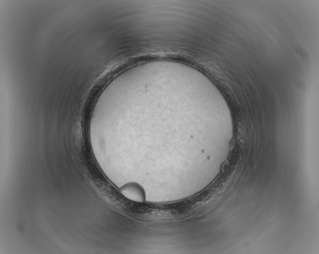 X0000111200256200907291236