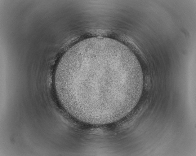 X0000111200259200907291236