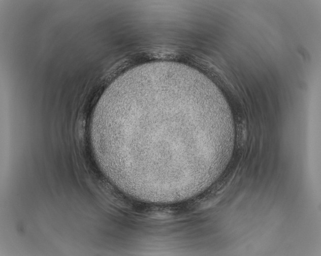 X0000111200263200907291236