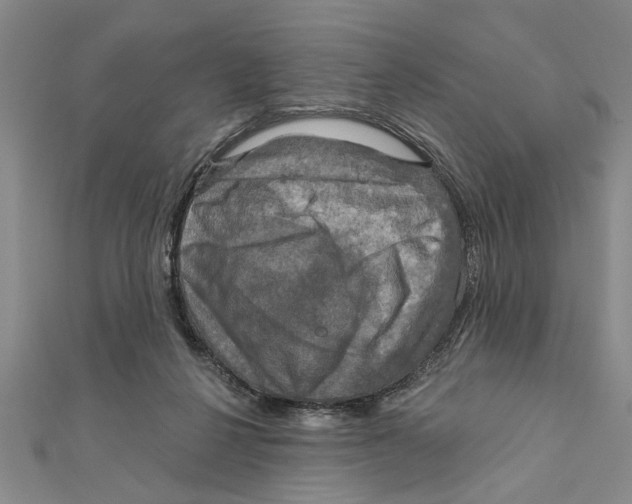 X0000111200264200907291236