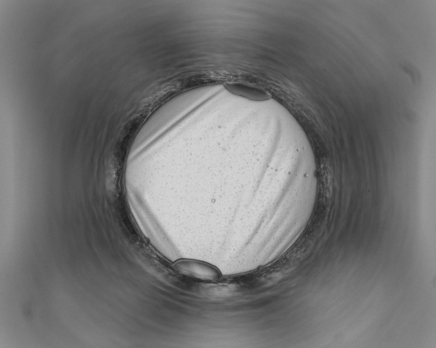 X0000111200266200907291236