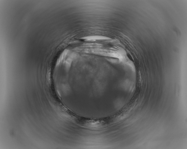 X0000111200267200907291236