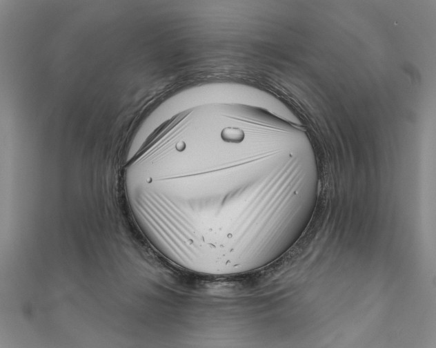 X0000111200268200907291236