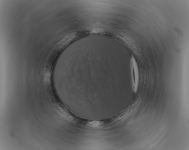 X0000111200269200907291236