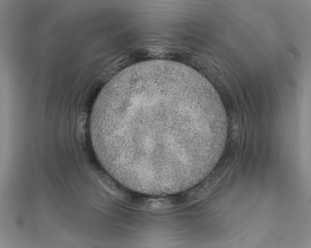 X0000111200275200907291236