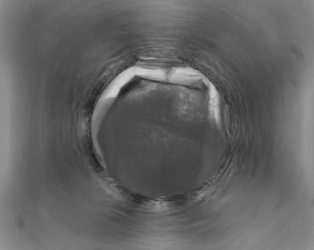 X0000111200276200907291236