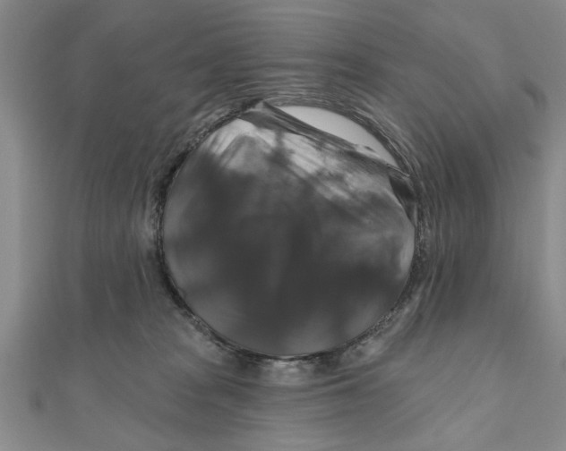 X0000111200277200907291236