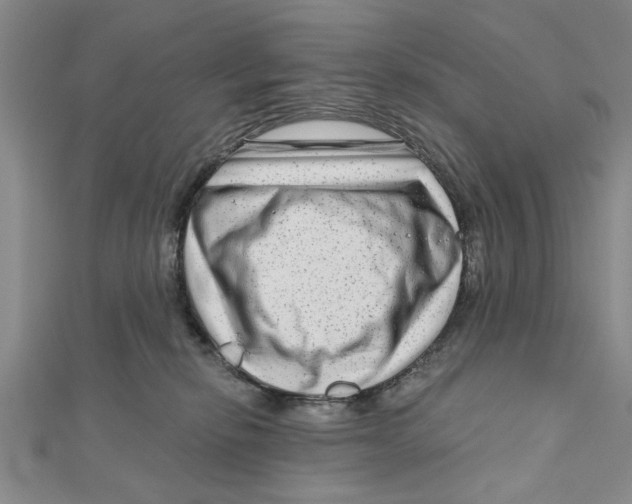 X0000111200278200907291236