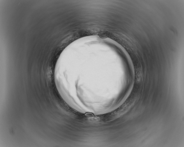 X0000111200279200907291236