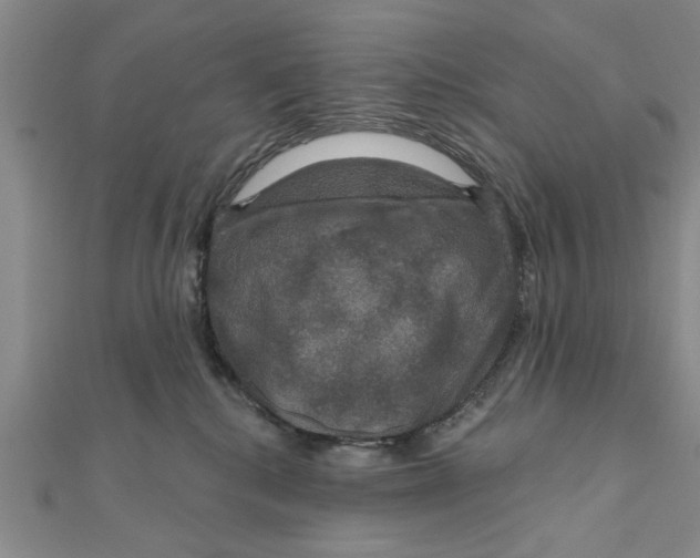 X0000111200280200907291236