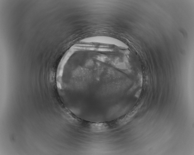 X0000111200281200907291236