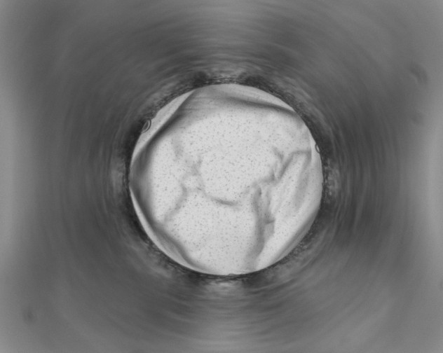 X0000111200283200907291236