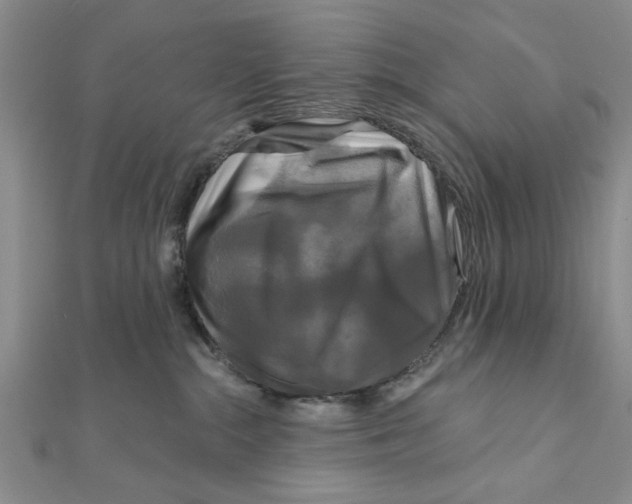 X0000111200284200907291236