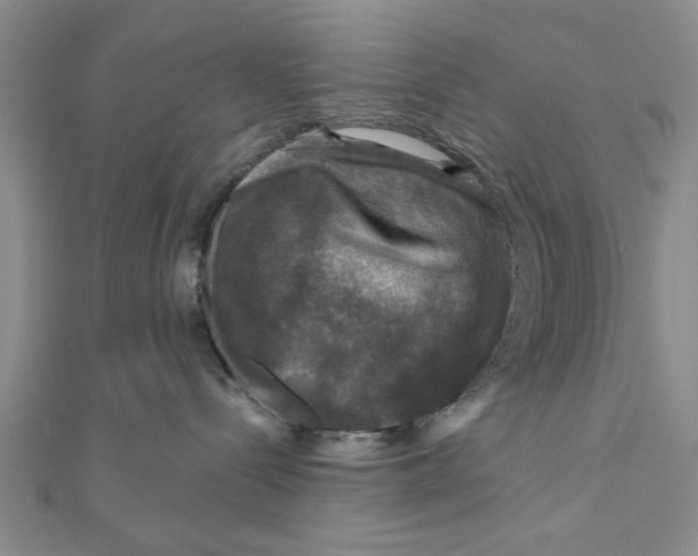 X0000111200288200907291236