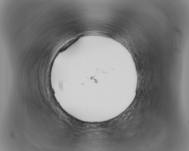 X0000111200289200907291235