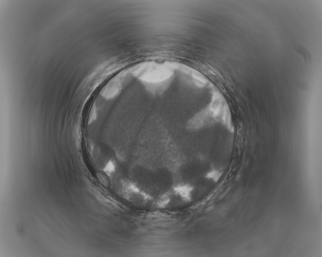 X0000111200290200907291235