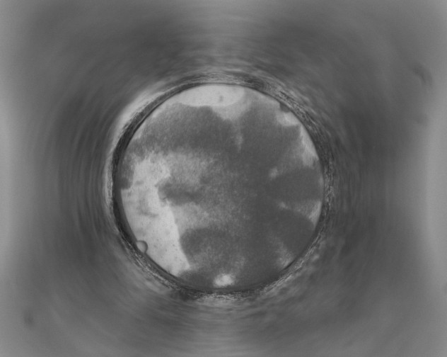 X0000111200294200907291235