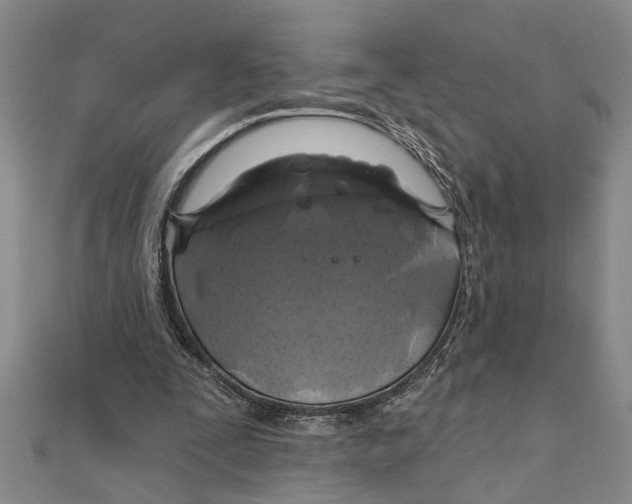 X0000111200295200907291235