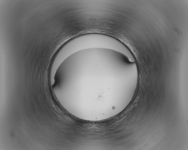 X0000111200297200907291235