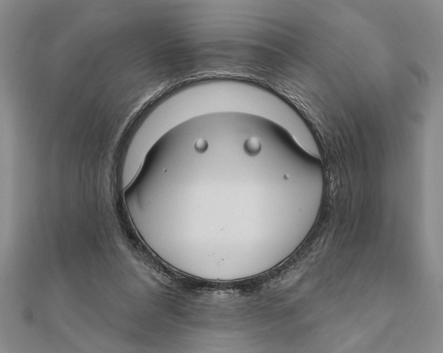 X0000111200304200907291235