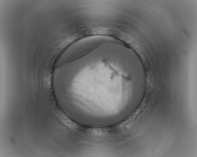 X0000111200305200907291235