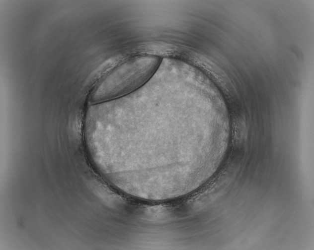 X0000111200309200907291235