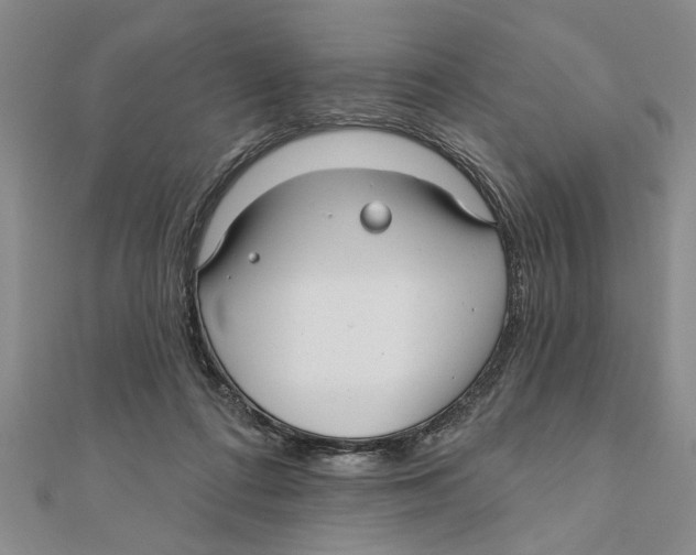 X0000111200312200907291235