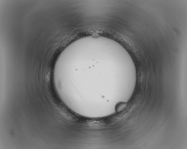 X0000111200315200907291235