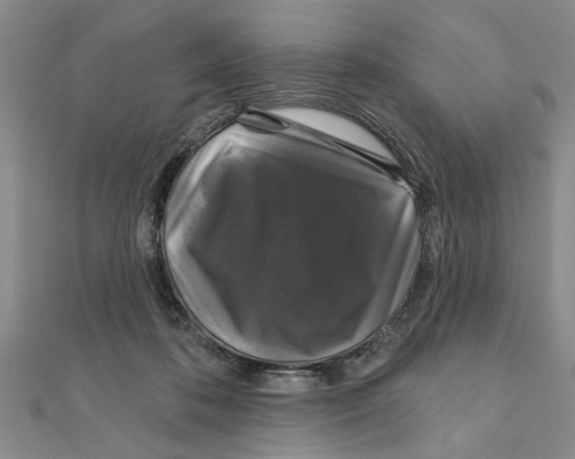 X0000111200316200907291235