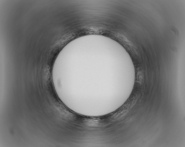 X0000111200318200907291235