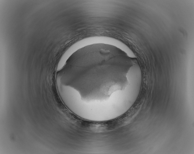 X0000111200319200907291235