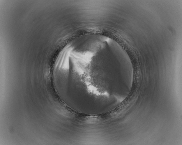 X0000111200320200907291235