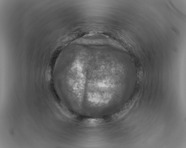 X0000111200323200907291235