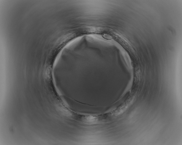 X0000111200325200907291235