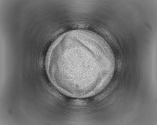 X0000111200326200907291235