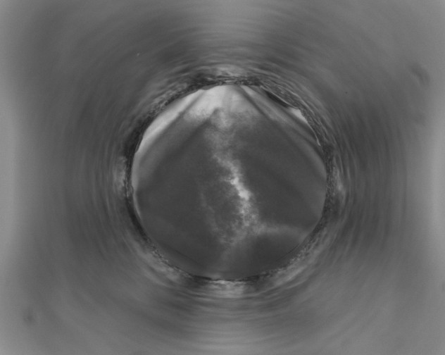 X0000111200328200907291235