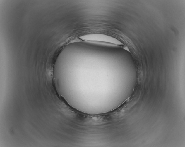 X0000111200329200907291235