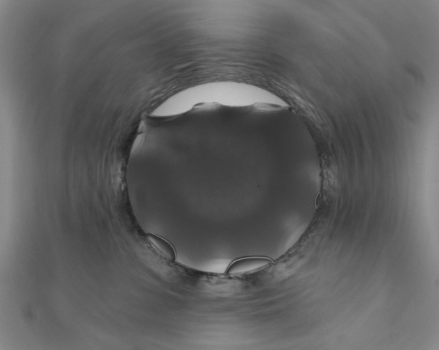 X0000111200331200907291235