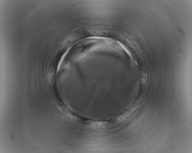 X0000111200332200907291235