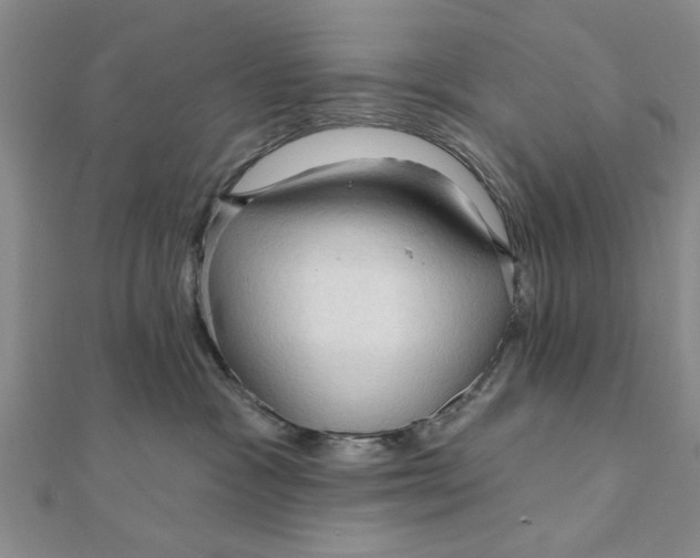 X0000111200333200907291235