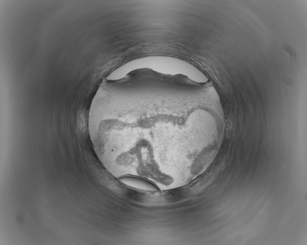 X0000111200335200907291235